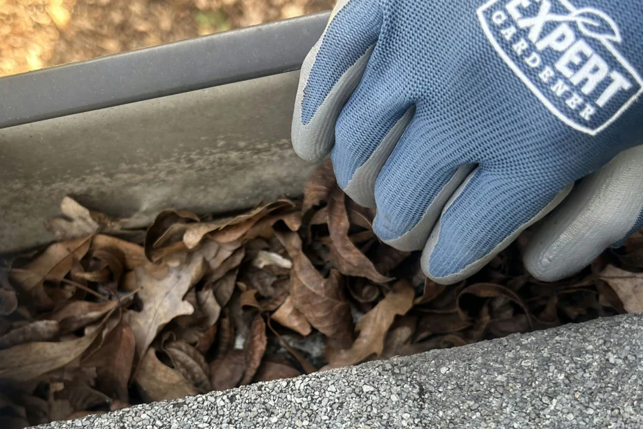 Gutter Cleaning Weaverville